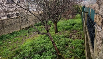Solar edificable en Boiro